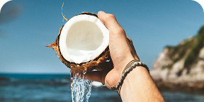 Coconut Water  Powder